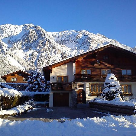 Haus Bergluft Daire Ramsau am Dachstein Dış mekan fotoğraf