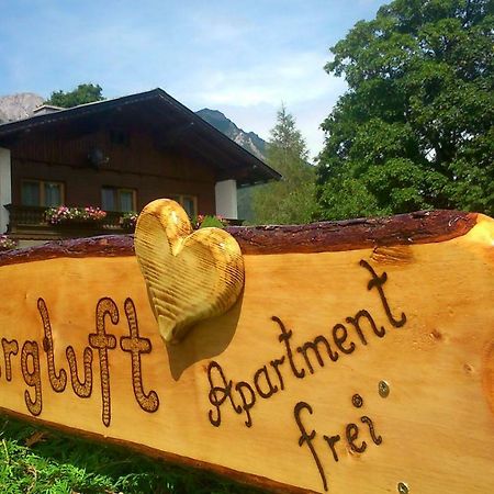 Haus Bergluft Daire Ramsau am Dachstein Dış mekan fotoğraf